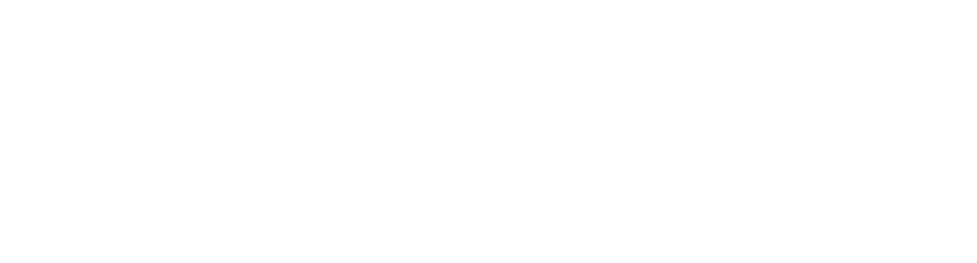 LOGO-HYF-2025-W.png